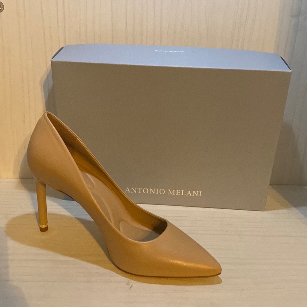 Antonio Melani Kara Pointed Toe Leather Pumps